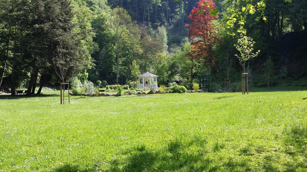 Kurhotel Quellenhof Bad Bertrich Exteriör bild